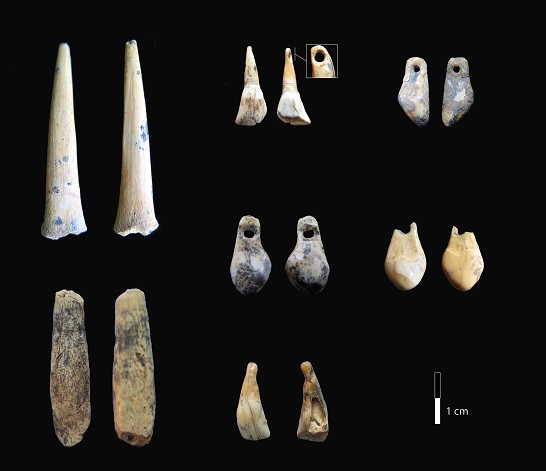 Denisova ornaments