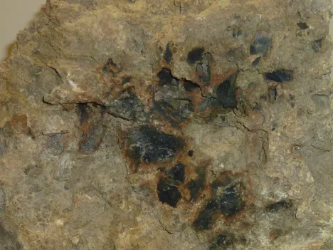 Bild Monatsraetsel August 2025