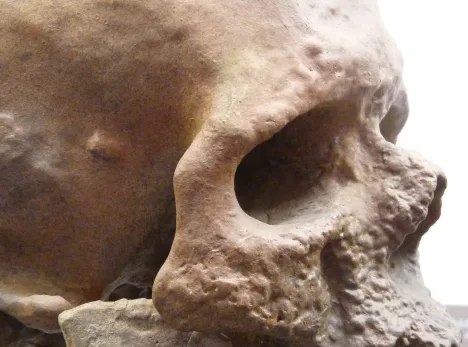 Bild Monatsrätsel September 2025